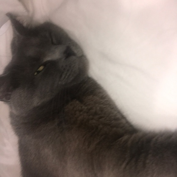 Meet your Posher, Casey - Picture 1 of 1